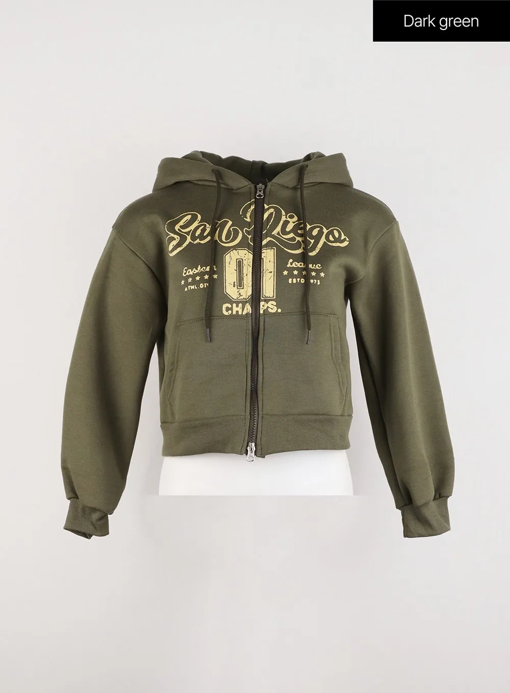 Lettering Graphic Zip-Up Plush Hoodie ID305