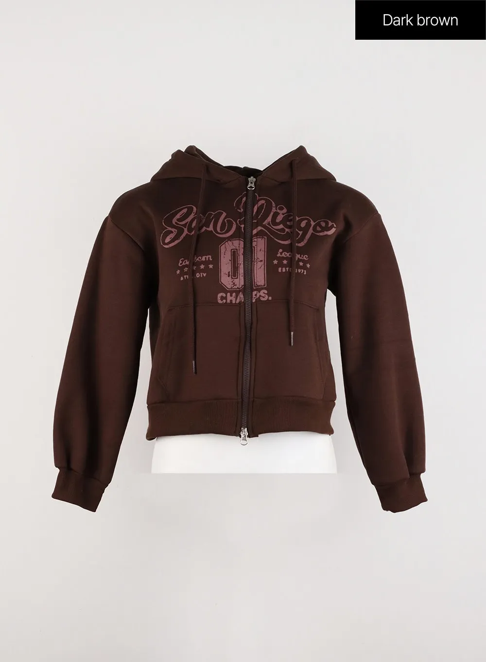 Lettering Graphic Zip-Up Plush Hoodie ID305