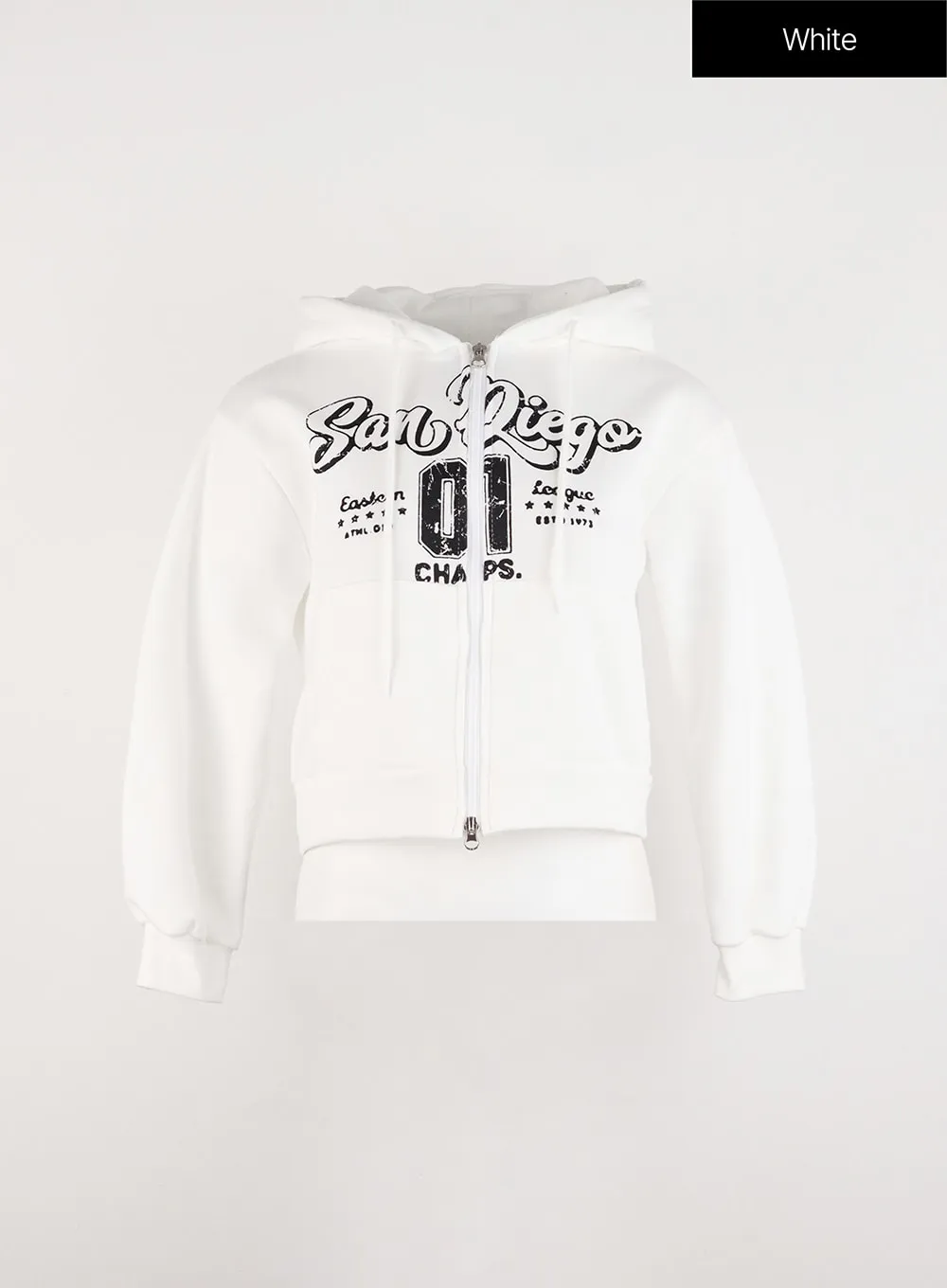 Lettering Graphic Zip-Up Plush Hoodie ID305