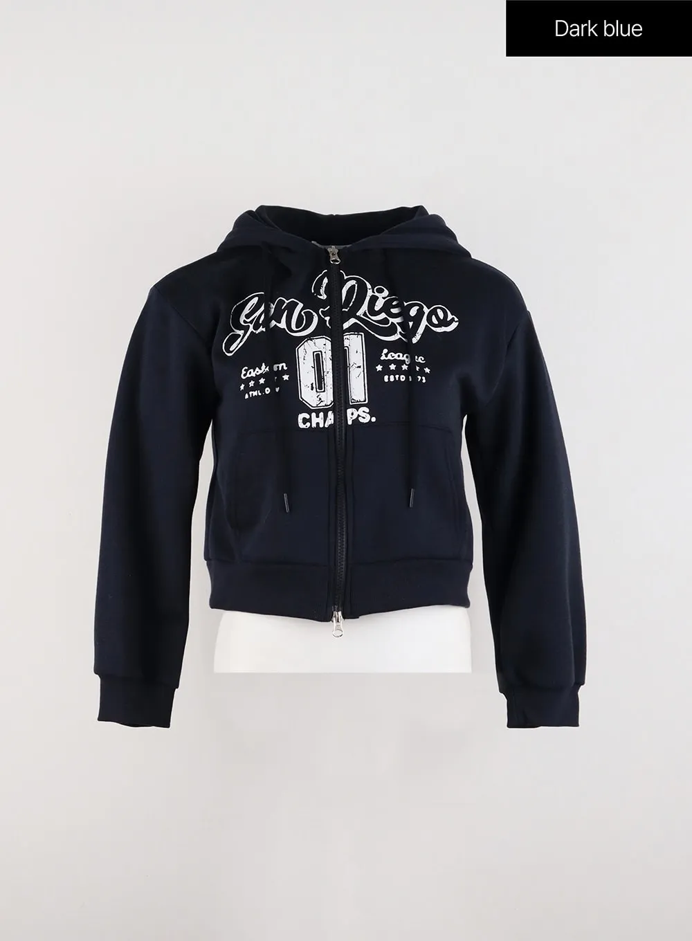 Lettering Graphic Zip-Up Plush Hoodie ID305